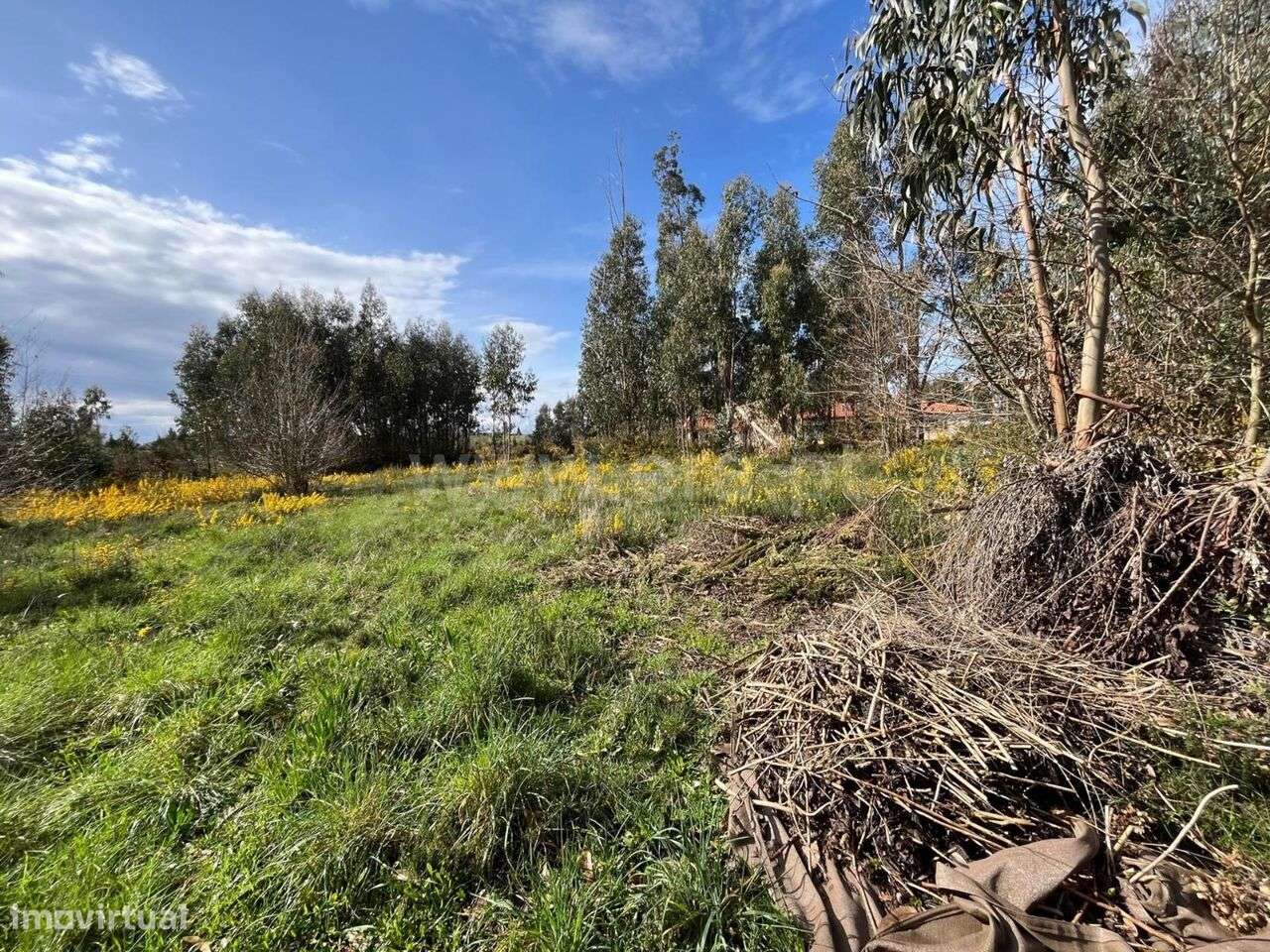 Terreno / Seia, Tourais e Lajes - Grande imagem: 4/10