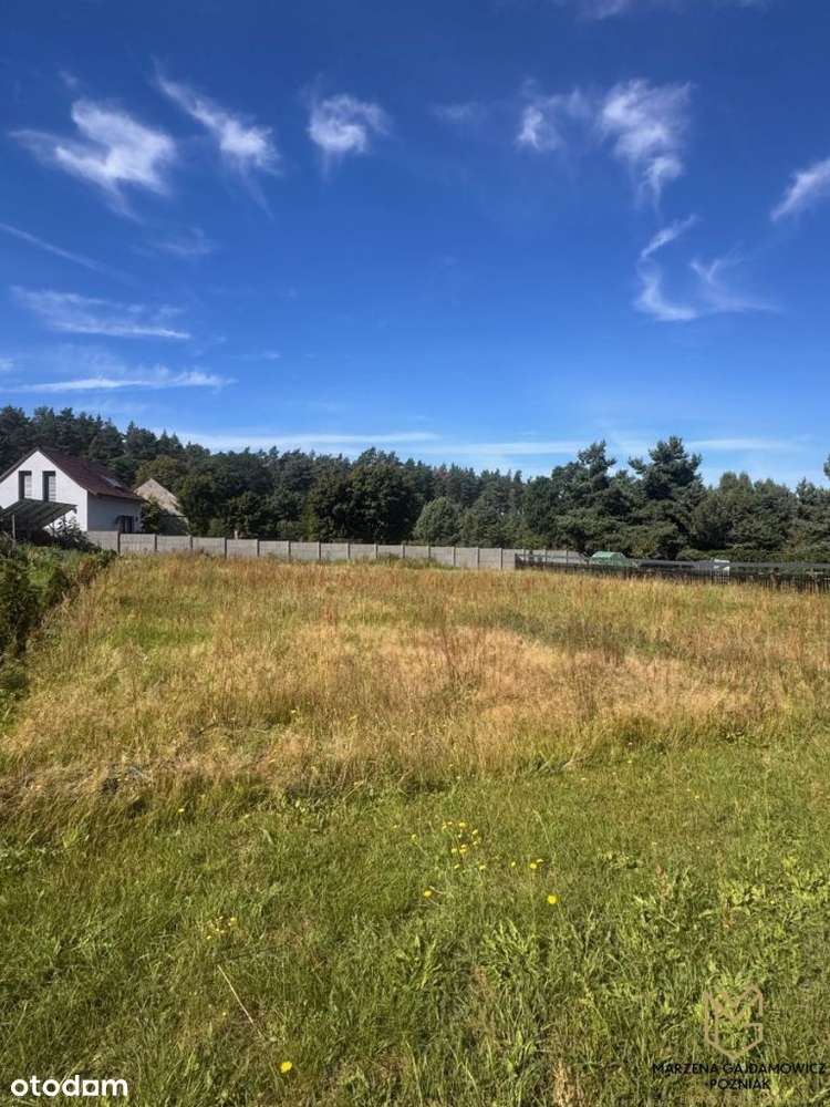 Piękna działka w Buchałowie-5