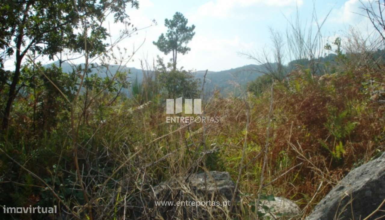 Venda Terreno, Gestaçô, Baião - Grande imagem: 2/4