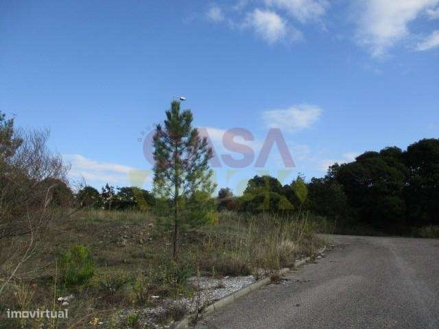 Loteamento  Venda em Abrantes (São Vicente e São João) e Alferrarede,A-11