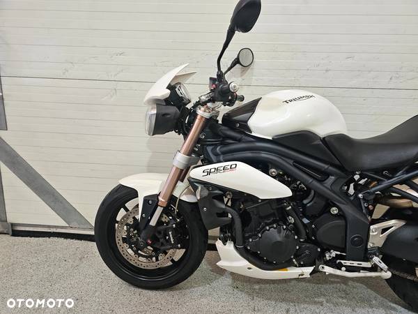 Triumph Speed Triple - 7