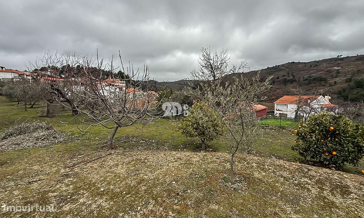 Terreno 5860m² - Pinheiros-5