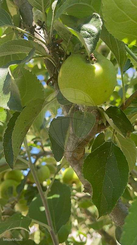 Moradia T2 para venda-29