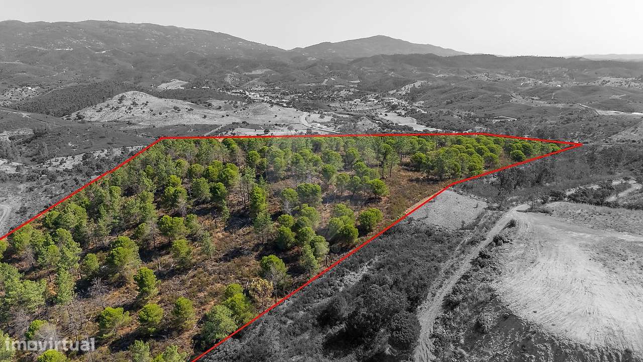 Quinta T4 para venda-15