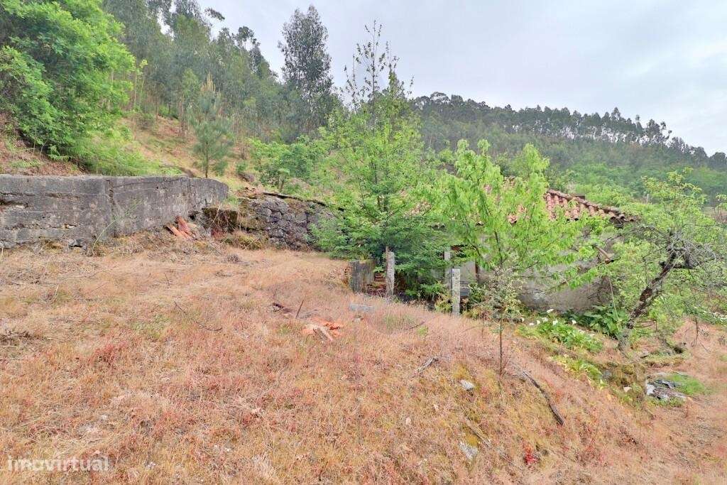 Quintinha em Escudeiros c/ aprox 3.200m2 e duas casas-25