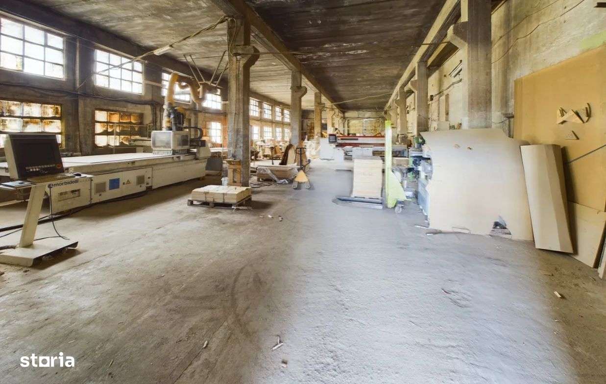 Fabrica prelucrare lemn de vanzare – Lipova, Arad-19