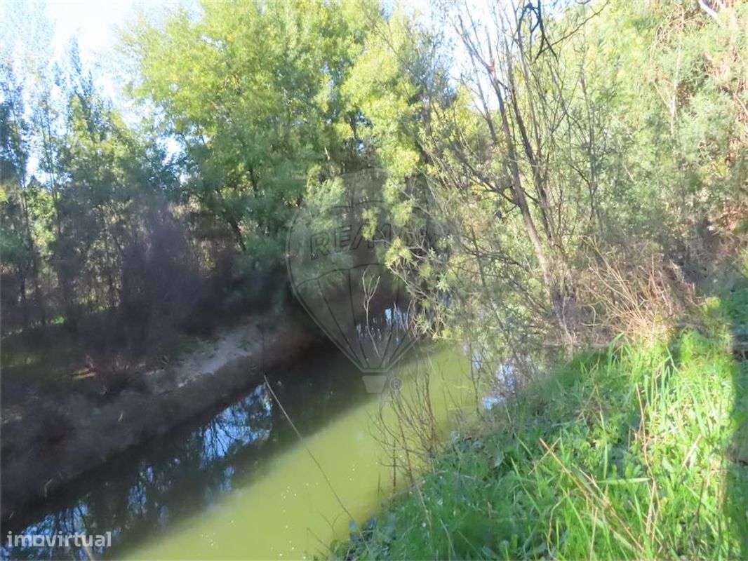 Quinta  para venda - Grande imagem: 5/48