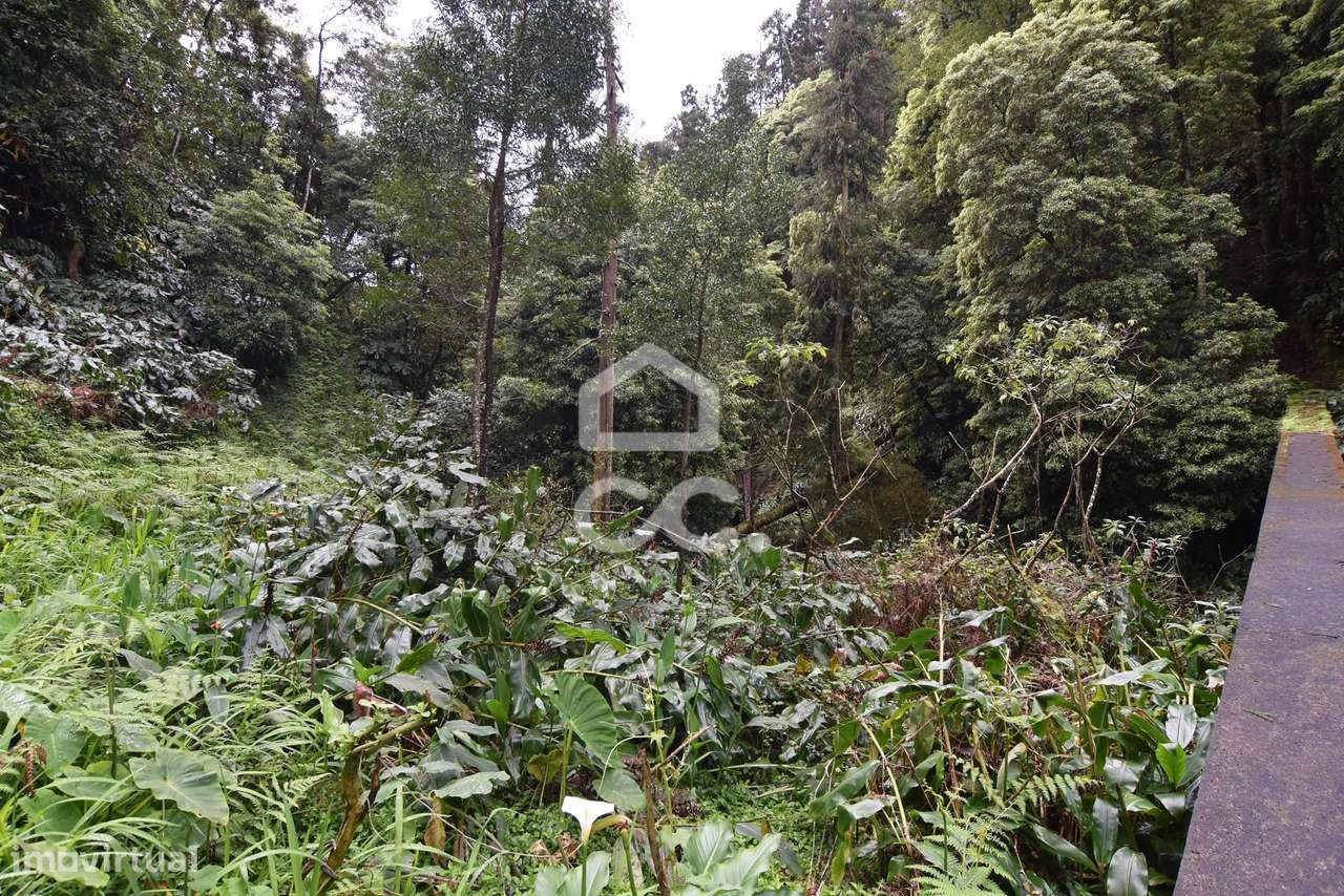 Terreno com 2500,00 m2 - Água de Pau - Lagoa - Grande imagem: 5/9