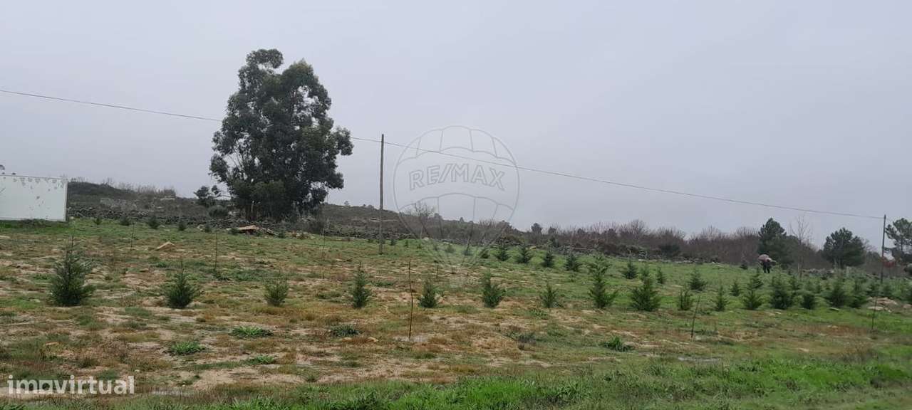 Terreno  para venda - Grande imagem: 5/13