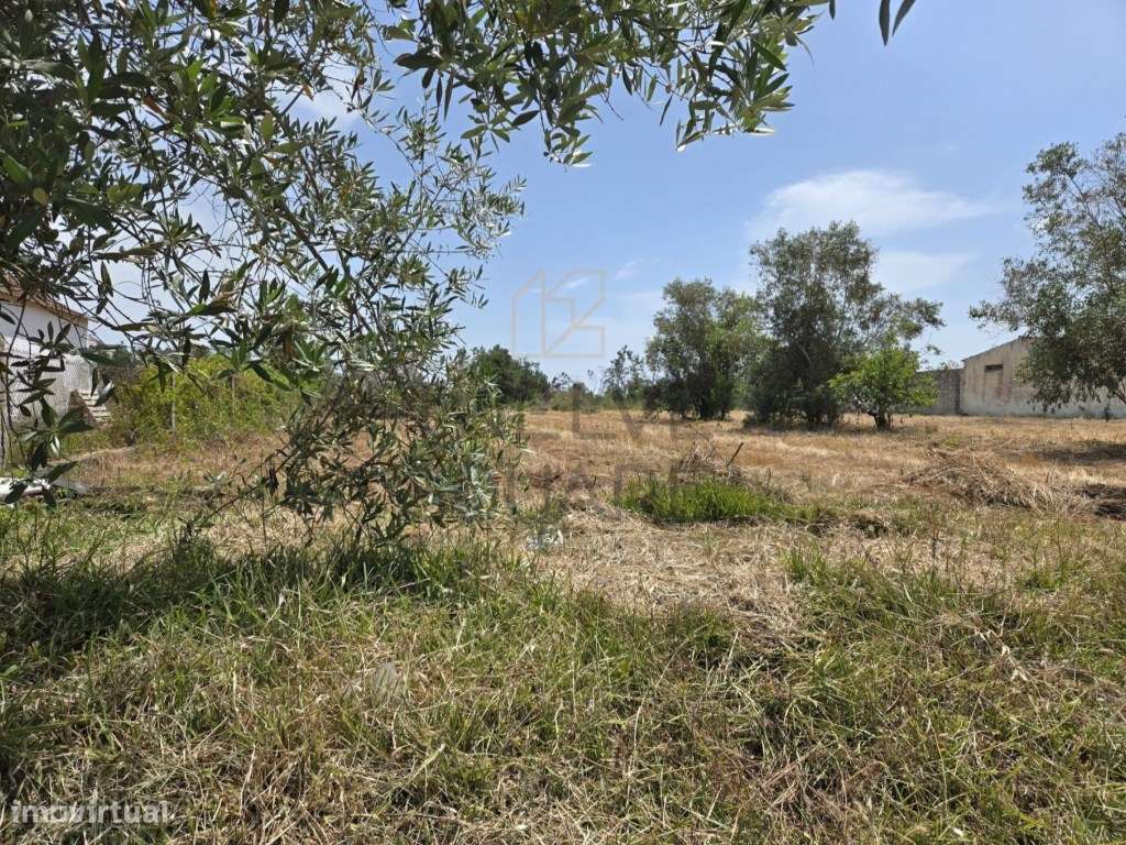 Terreno com Projeto para Edifício de 3 frações - Guia, Pombal-10