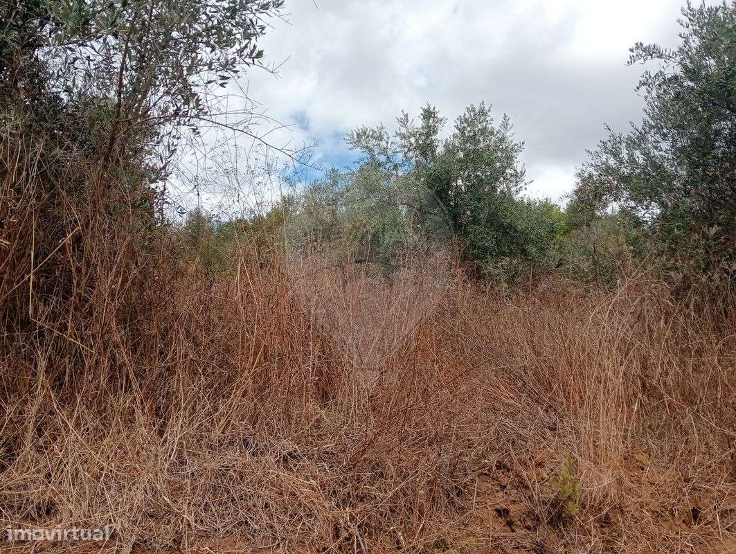 Terreno  para venda - Grande imagem: 3/3