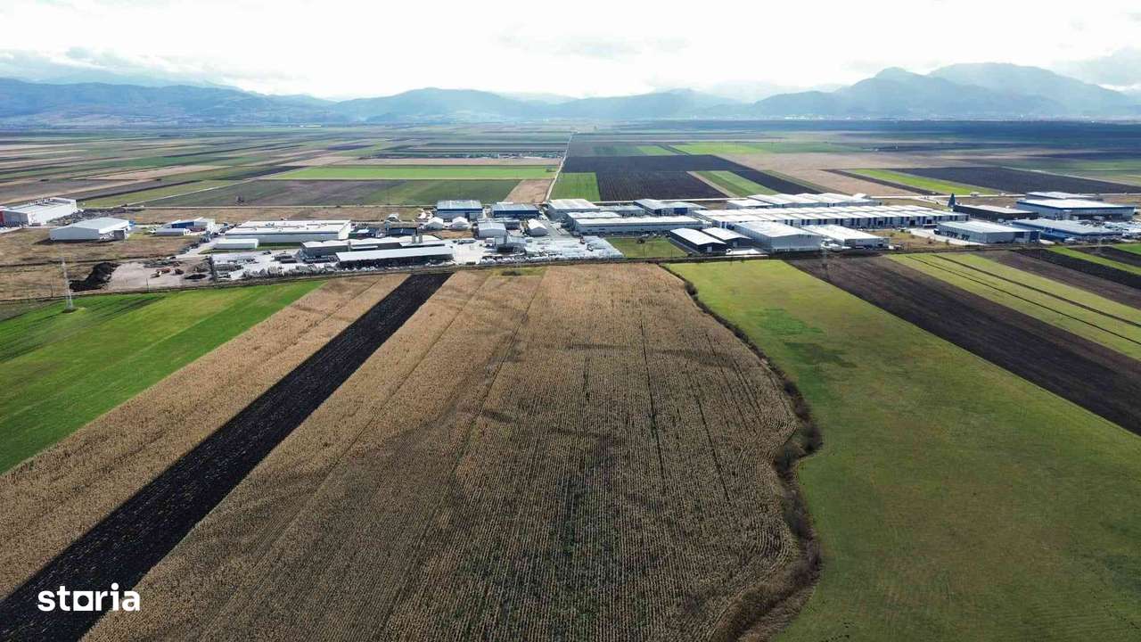 Teren 5 hectare de vanzare prejmer Brasov-2