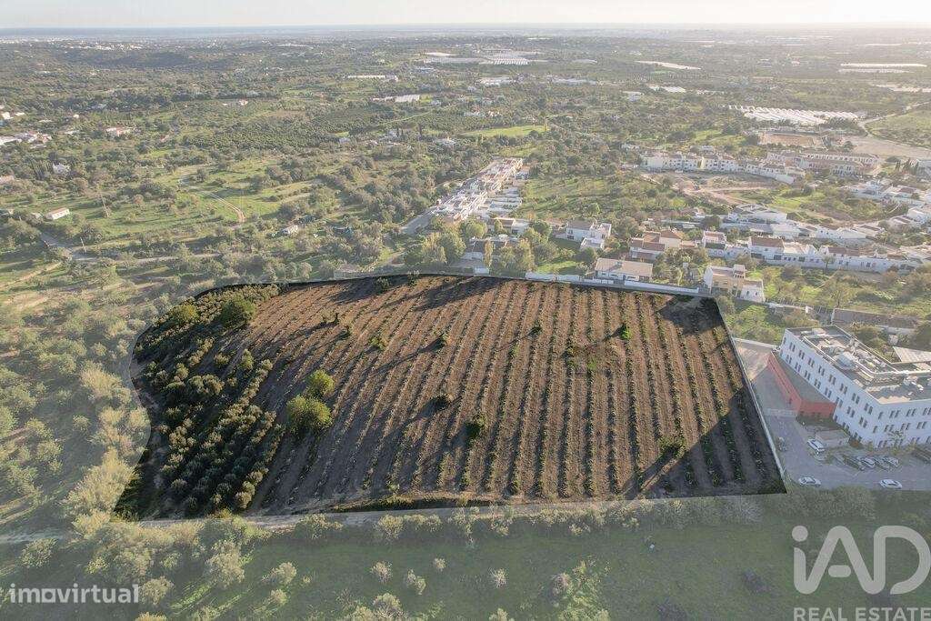 Terreno para construção em Conceição e Estoi de 8800,00 m2 - Grande imagem: 1/24