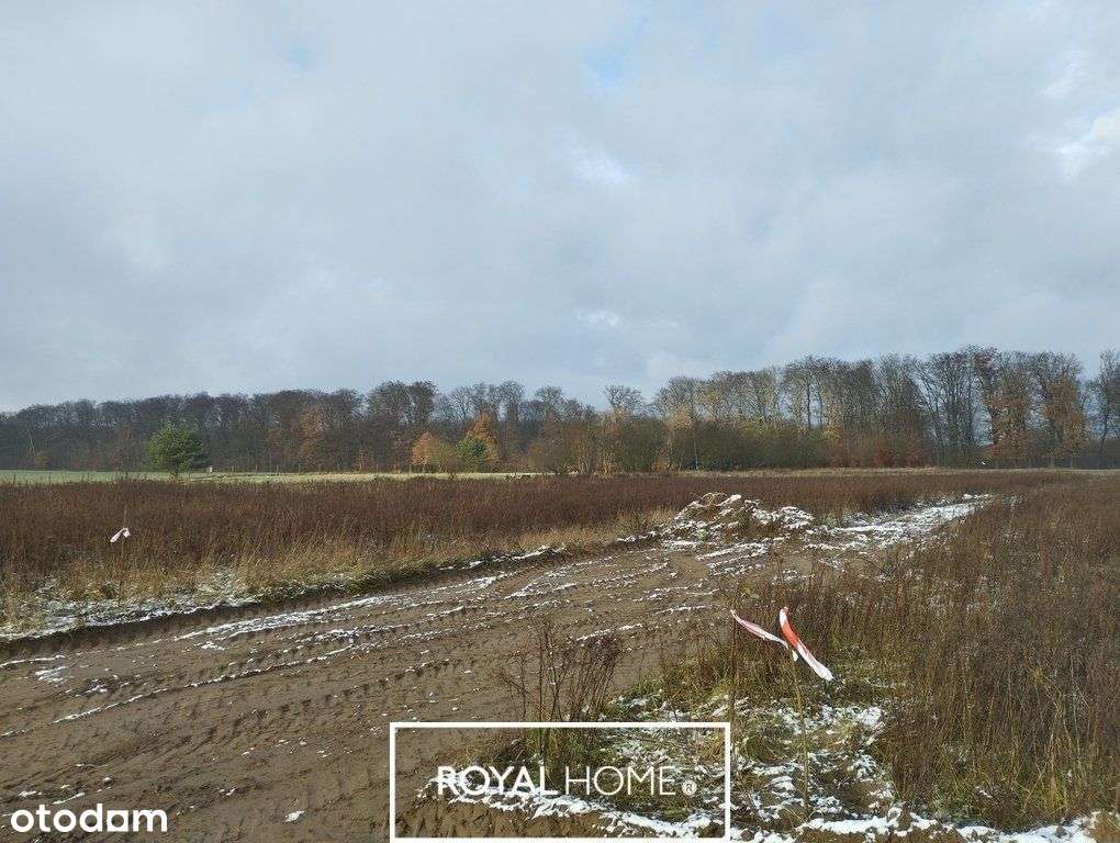 Okazja Malownicza działka w Dobropolu Gryfińskim ! - Pełny obrazek: 5/5