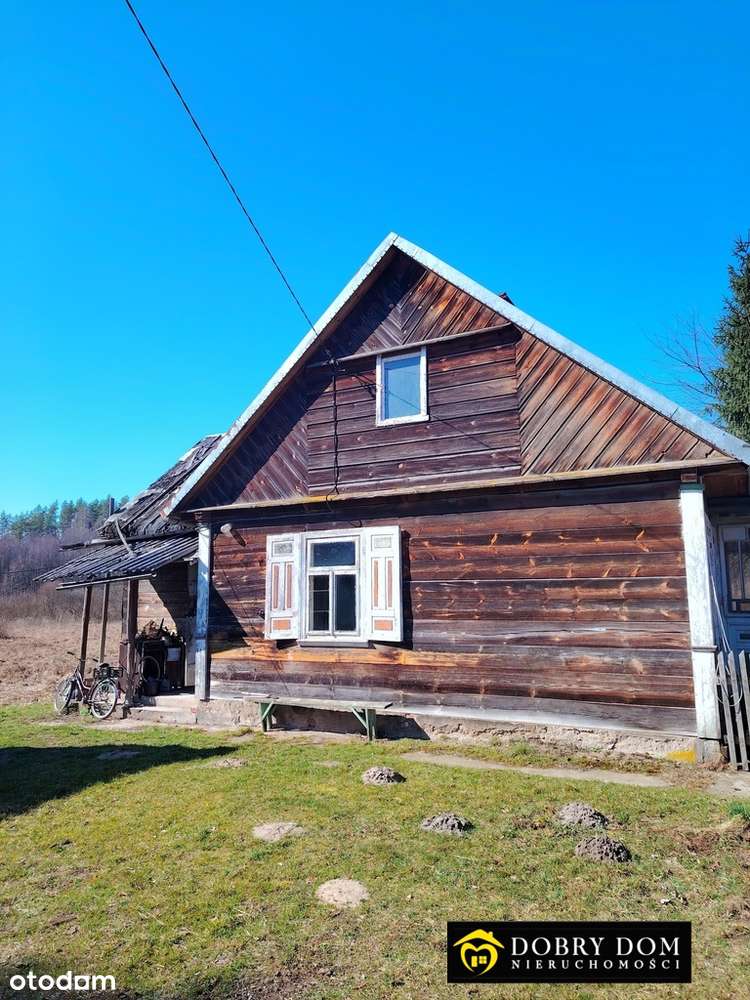 niezwykle klimatyczne siedlisko - Pełny obrazek: 5/17