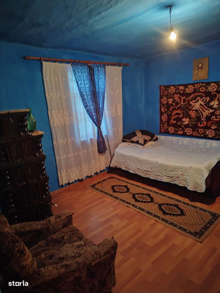 De vanzare Casa cu 3 camere si 2 parcele de teren comasate in Crai Nou-7