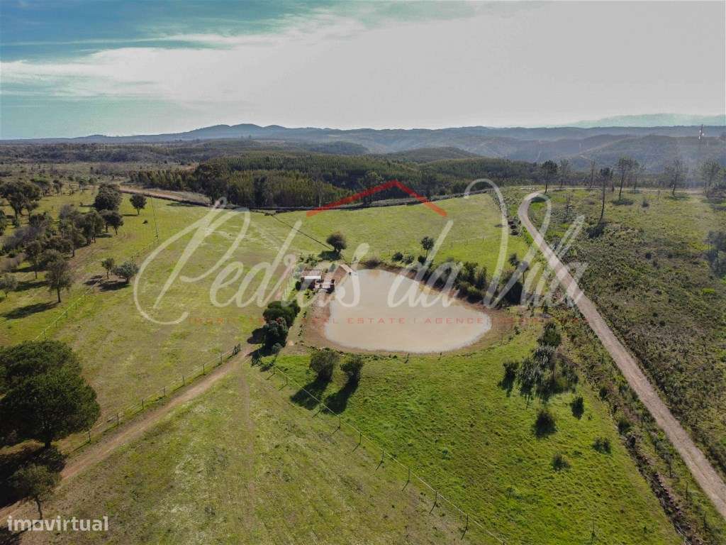 Quinta com 6,5ha em Vale Juncal - São Teotónio-39