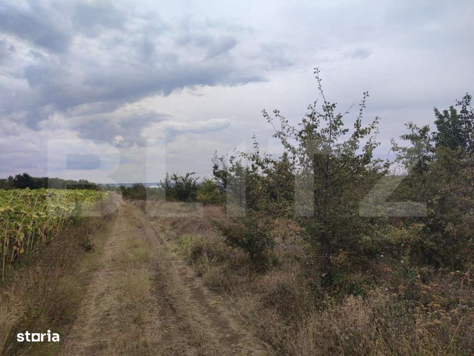 Teren 6291 mp, extravilan, zona Leamna de jos - Imagine principală: 4/4