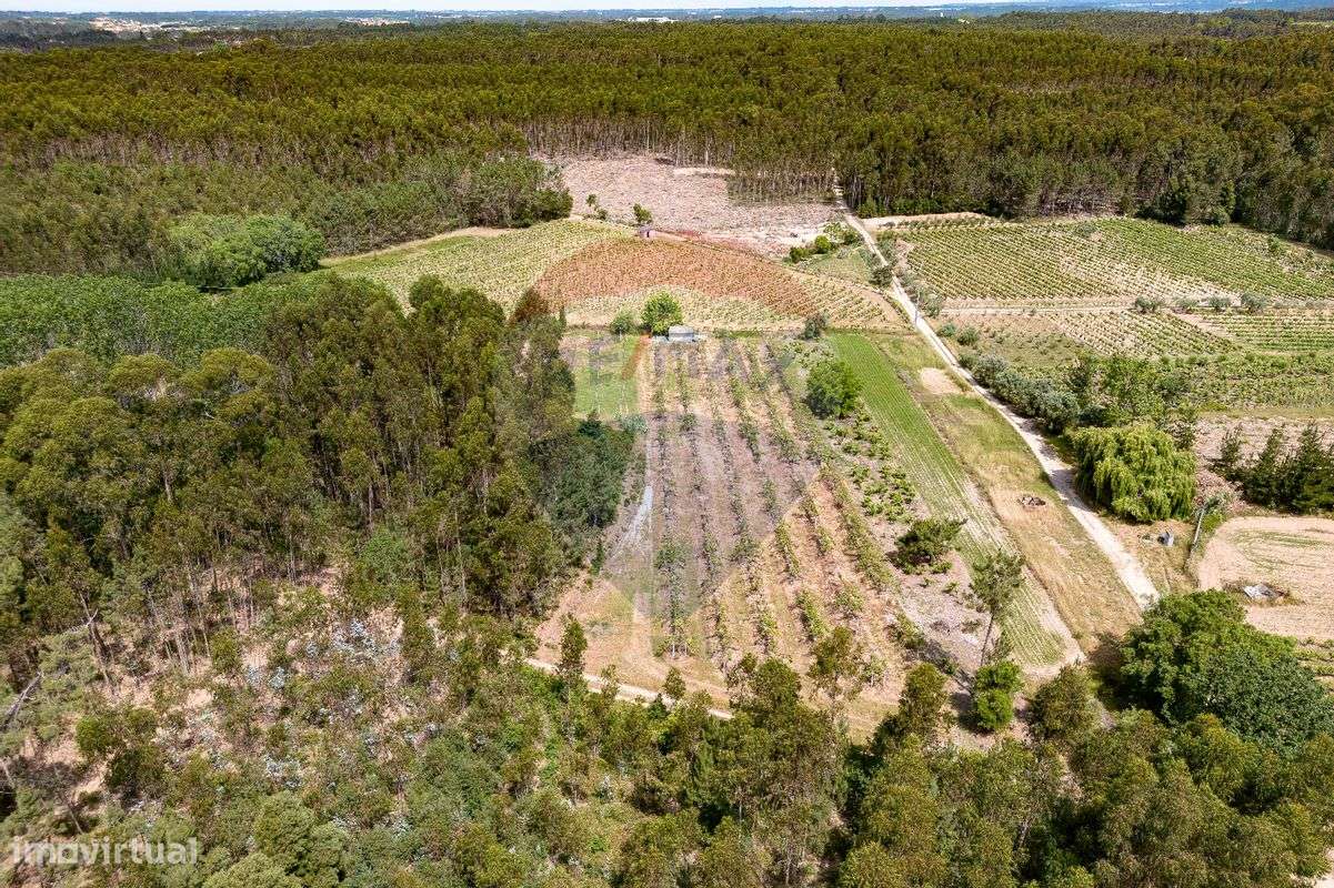 Terreno  para venda - Grande imagem: 4/18