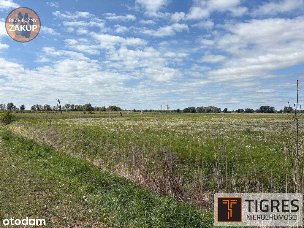 Kompleks 14 działek pod Elblągiem | Wydane Wz - Pełny obrazek: 4/5