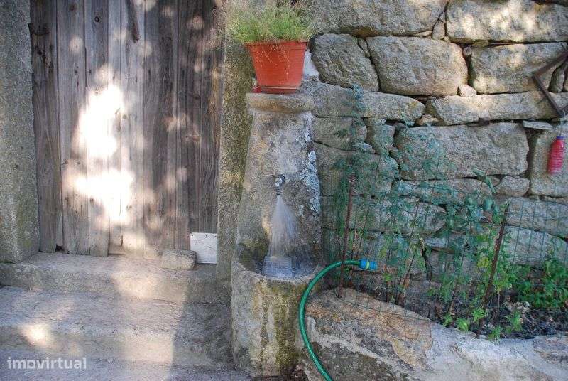 Quinta da Foroa, Macieira (Sernancelhe) - Grande imagem: 5/12