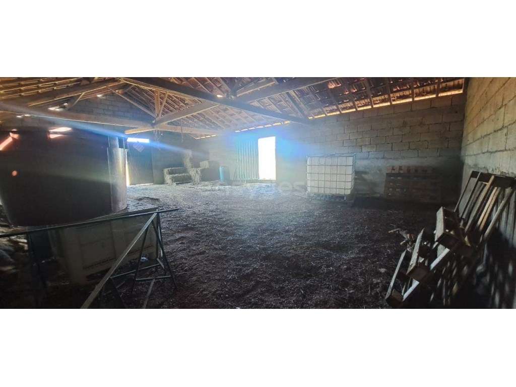 Armazém e terreno agrícola em Estevais, Torre de Moncorvo - Grande imagem: 4/12