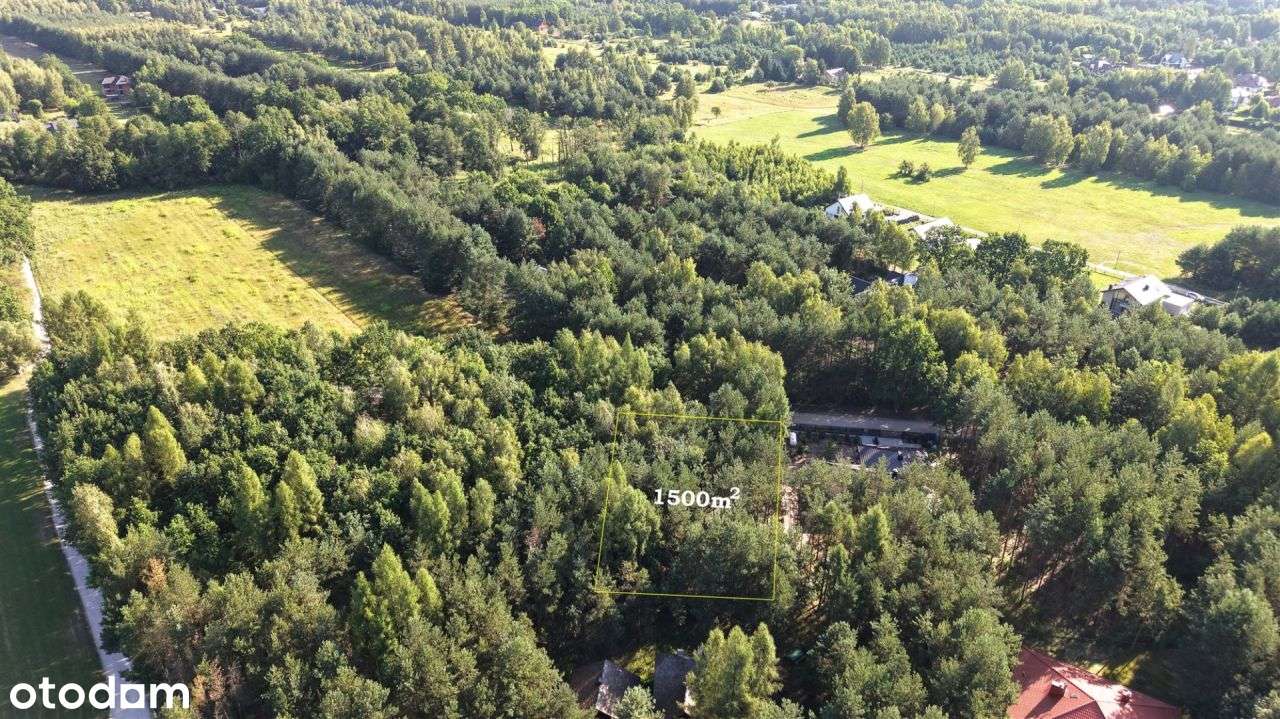 Dom w sercu natury? To możliwe! - Pełny obrazek: 4/14