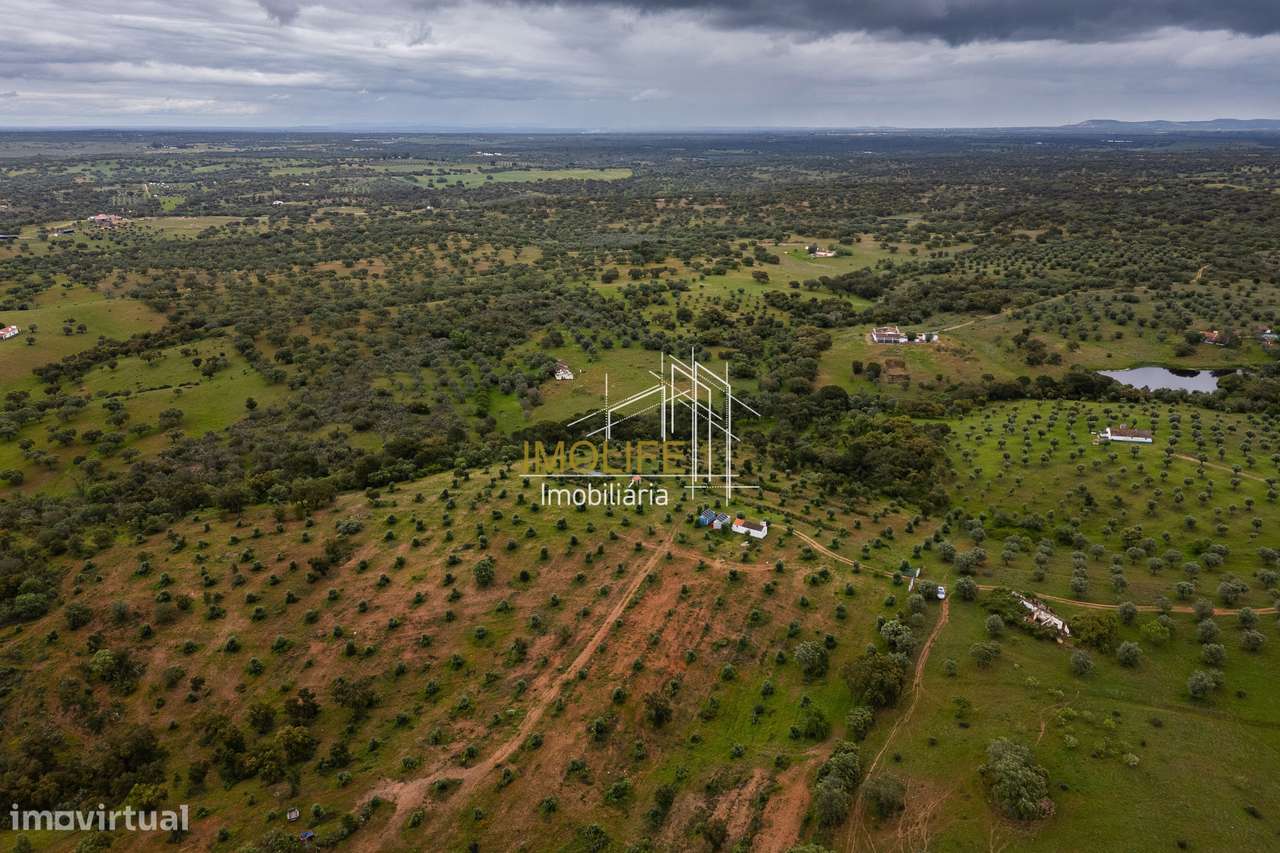 MONTINHO DO CHIADO - MALARRANHA - PAVIA-46