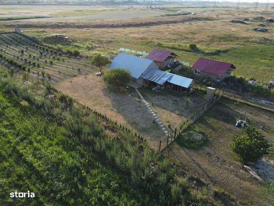 Casa Tip Cabana Letea Veche 5200 mp teren Livada Aluni - Imagine principală: 2/20