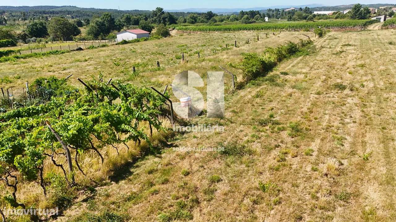 Terreno em Sabrosa - Grande imagem: 4/22