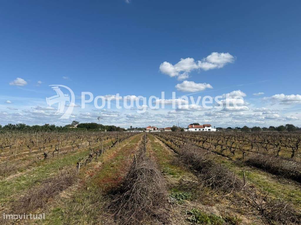 Terreno Rústico na Zona Lau - Palmela. Zona alcatroada. Terreno vedado - Grande imagem: 2/7