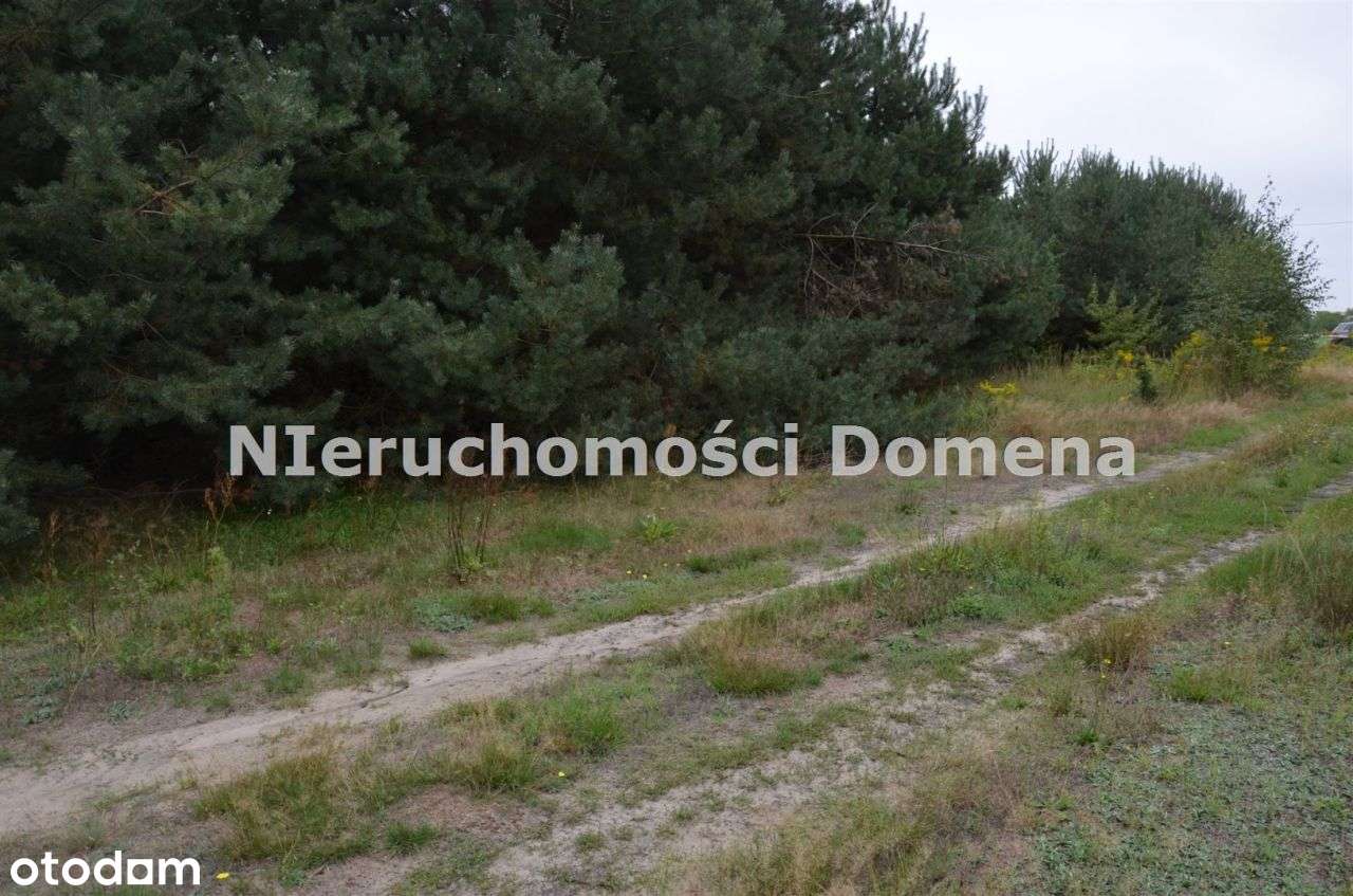 Działka rolna z możliwością zabudowy-1