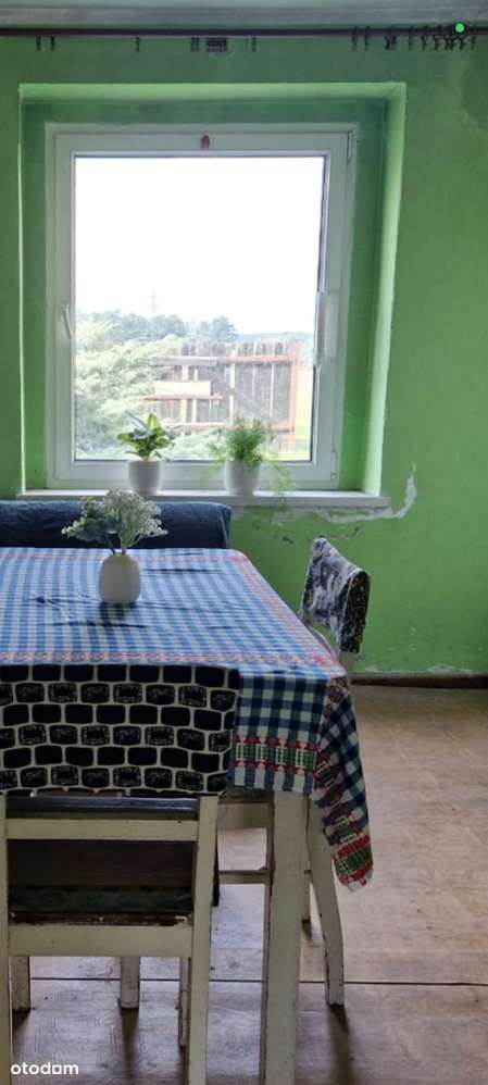 Dobrodzień, uroczy dom pod lasem-9