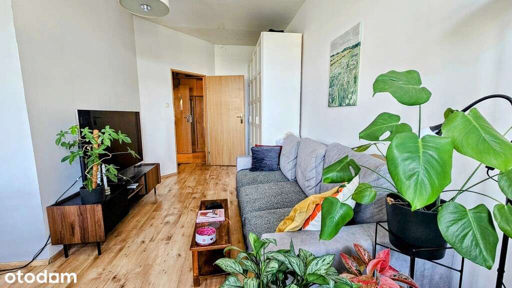 Wrocław Śródmieście Nadodrze 2 pokoje rozkład - Pełny obrazek: 2/20