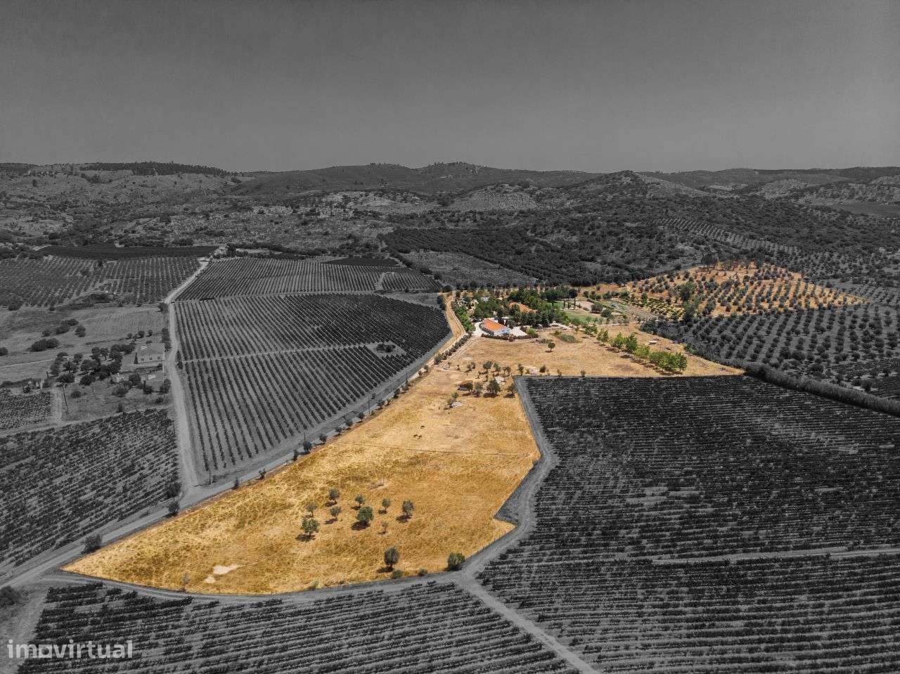 Quinta | Venda | ALENTEJO-52