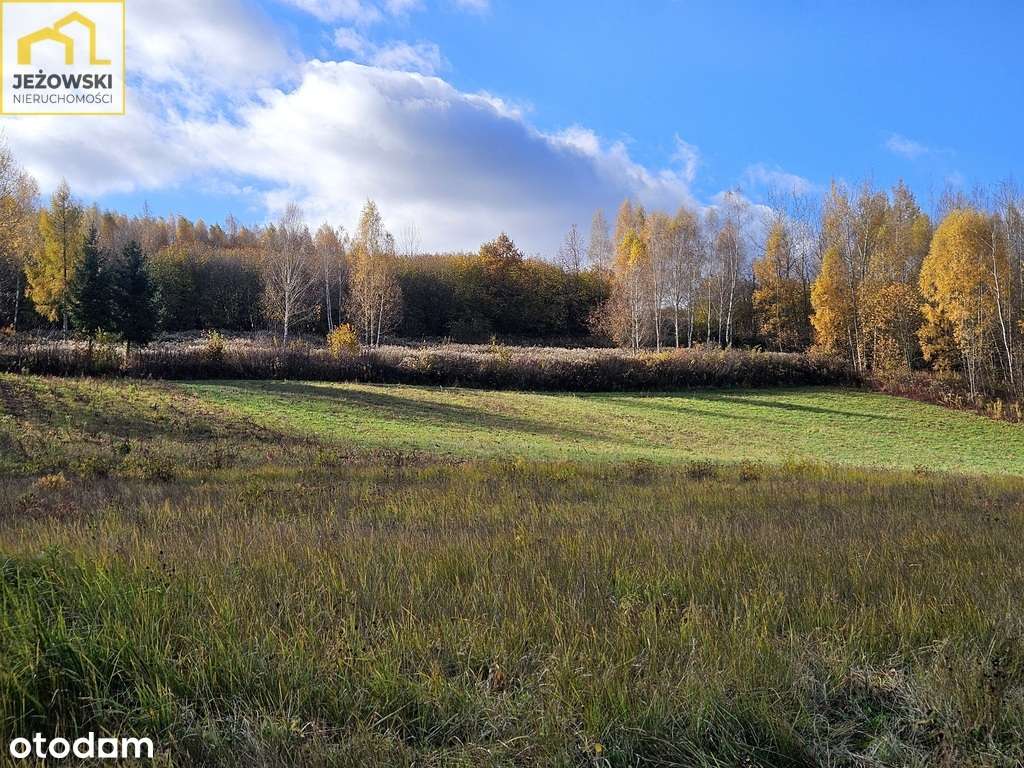 Widokowa działka 36 arów, 5 km od Rynku. - Pełny obrazek: 4/19