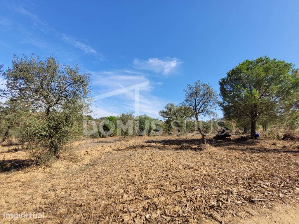 Terreno rústico com 23 Hectares - Grande imagem: 3/22