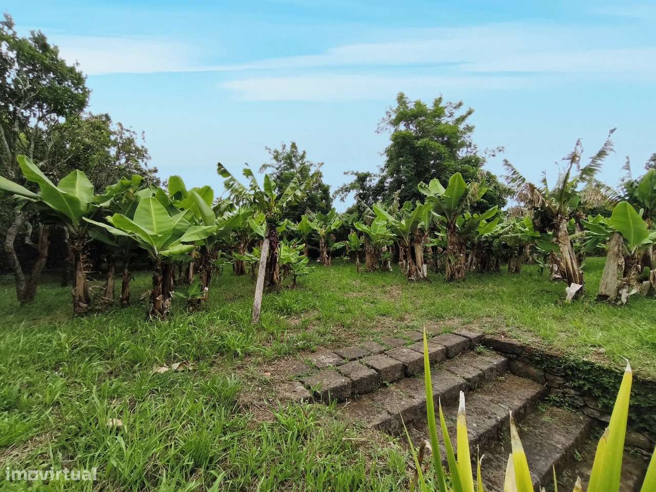 Solar Centenário de Encanto Histórico com Vista Inigualável na Ilha de-15