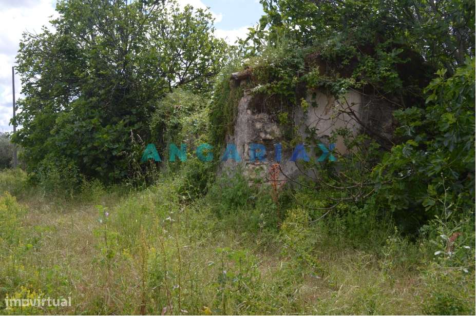 ANG134 - Terreno para Venda em Ourém - Grande imagem: 4/18