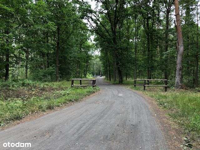 RADAWKA działka nad morzem - Pełny obrazek: 4/10