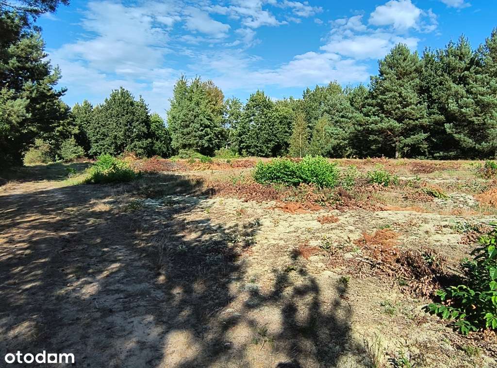 Działka budowlana Drawski Młyn (gm. Drawsko), warunki zabudowy-1