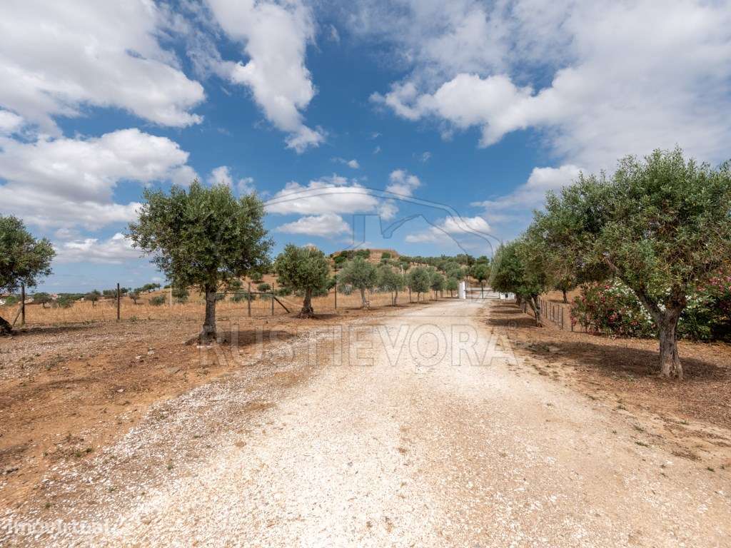 Quinta em Portel - 4,3 Ha de Tradição e Conforto-35