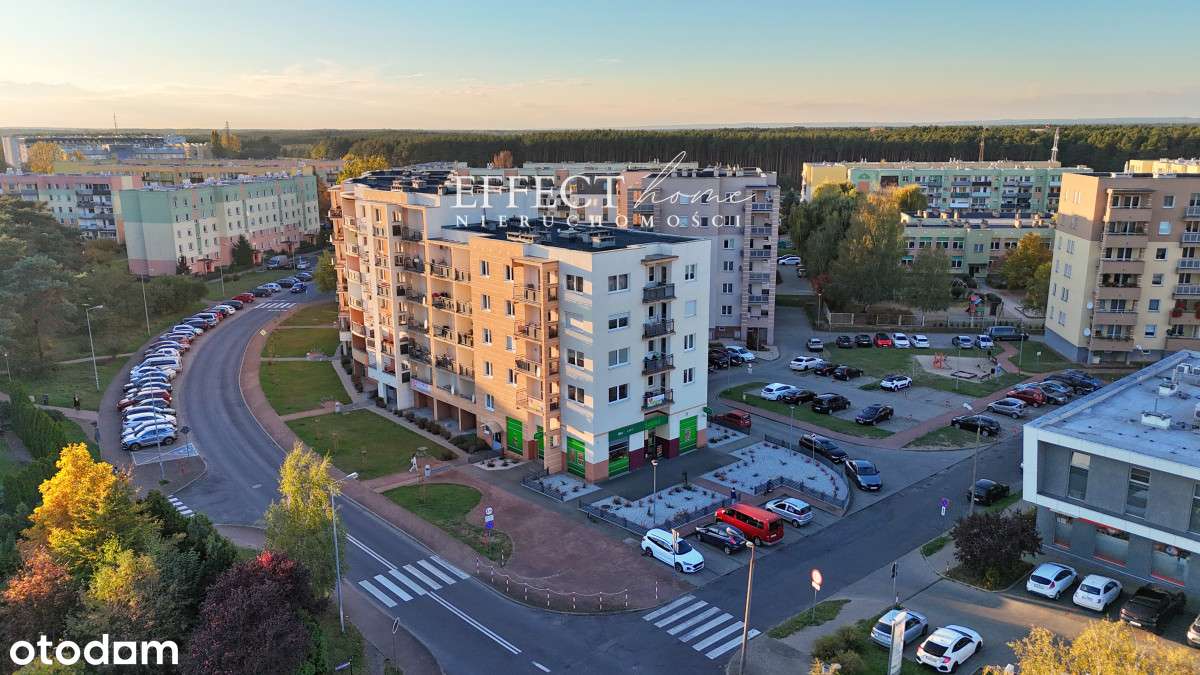 Lokal lub mieszkanie 110 m2 w świetnej lokalizacji - Pełny obrazek: 2/15