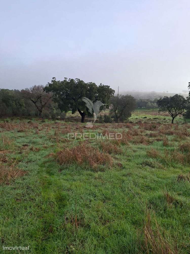 Terreno Rústico com 4,1 Hectares no Rosário - Alandroal - Grande imagem: 5/28