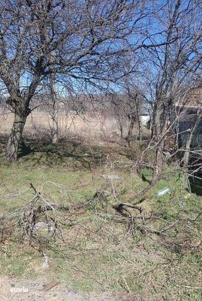 Teren de vanzare Stefanesti Arges Aleea Linistii FN 1182mp intravilan - Imagine principală: 5/6