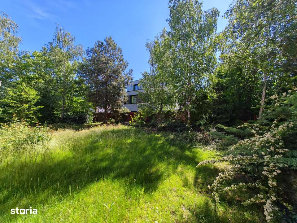 Vila in Pipera, spatioasa, retrasa, multifamiliala - intimitate totala-1