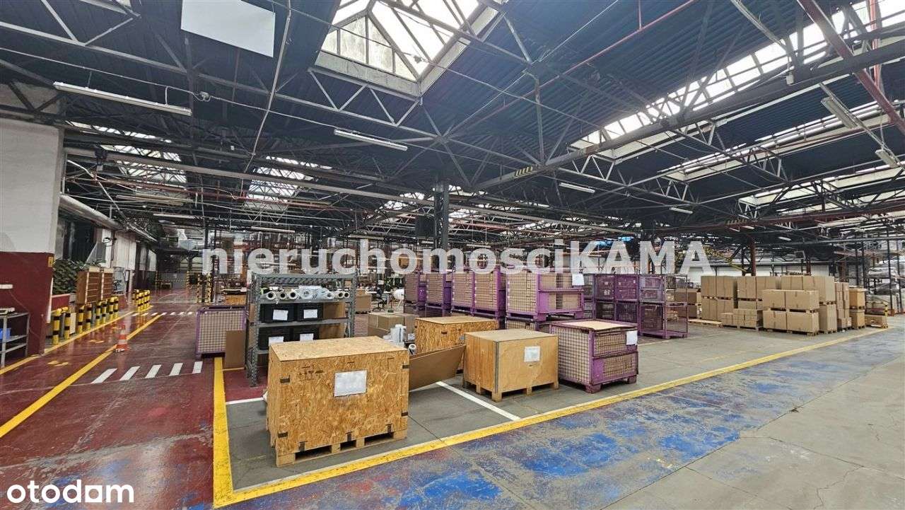 Hala/Magazyn, 2 160 m², Bielsko-Biała - Pełny obrazek: 5/14