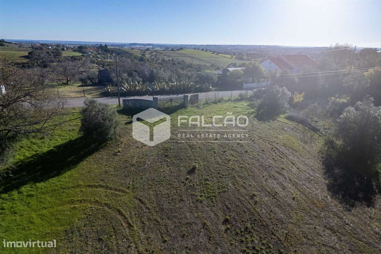 Terreno Para Construção  Venda em Moçarria,Santarém-14