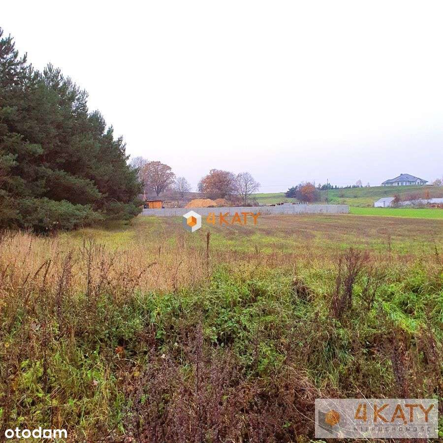 __Zabór_ atrakcyjna działka 1637m - Pełny obrazek: 2/6