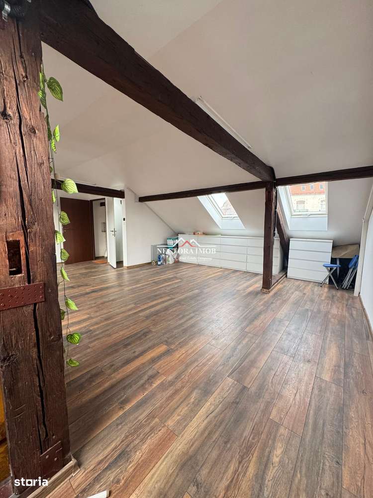 NECTORA IMOB-Spatiu comercial P+M, Ultracentral, Zona Piața Ferdinand-4